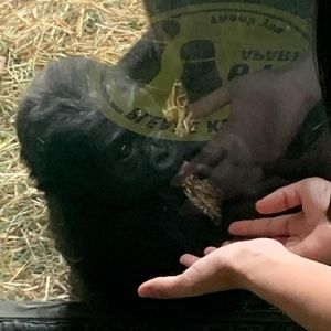 Meet your Posher, Wendy